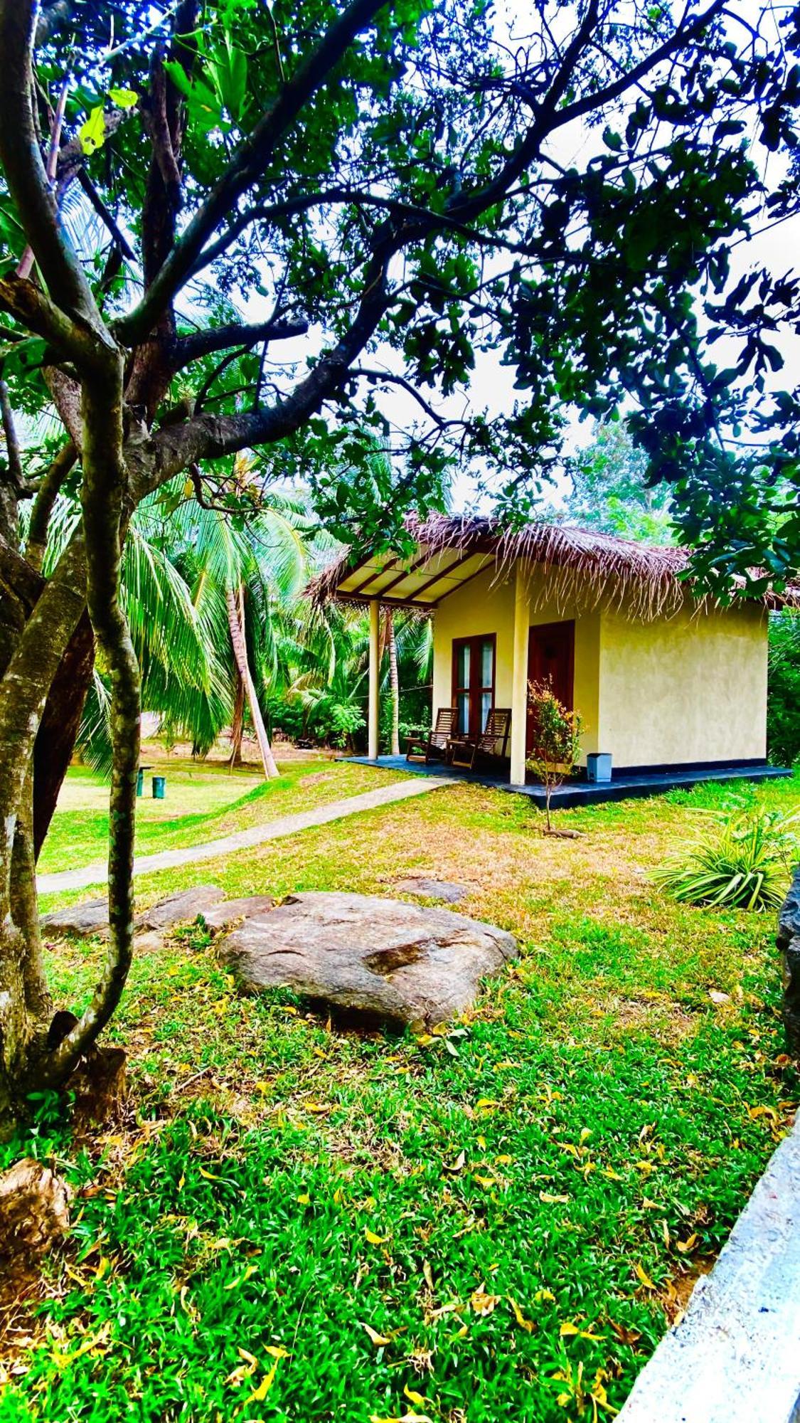 اوداوالاوي River Paradise Safari House With Cooking Class المظهر الخارجي الصورة